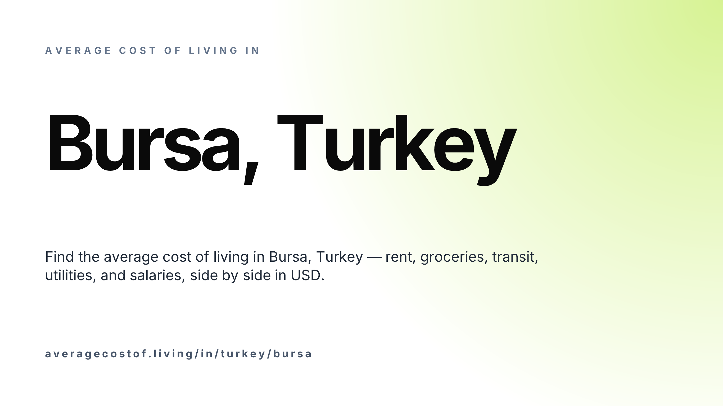 Cost of living in Bursa, Turkey — monthly rent, food, transport, utilities, and salary breakdown in USD.